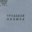 Уволенной Галине Васильевой вернули трудовую книжку, не сказав спасибо - ИА Карелинформ