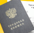Бизнес-омбудсмен в Карелии предупредила об ужесточении норм ТК по трудовым договорам - Vesti.Karelia.Ru