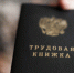 Минтруд сообщил, когда россиянам ждать электронные трудовые книжки - Петрозаводск говорит