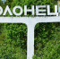 Олонец попал в топ-5 малых городов для отдыха с детьми - ИА КарелНовости