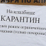 «Держать и не пущать!» Региональная тактика против вируса и печенегов - Петрозаводск говорит