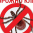 Осторожно клещи! - МЧС Республики Карелия