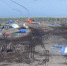 Задержанные СК специалисты ТЭЦ-3 могли бы помочь в устранении последствий аварии - ИА Карелинформ