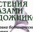 Жителям и гостям Петрозаводска покажут «Растения глазами художников» - StolicaOnego.Ru
