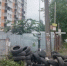 В районе Петрозаводска неизвестные устроили свалку из старых покрышек - ИА Карелинформ