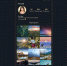 В России запустили новую социальную сеть вместо запрещенного Instagram - Карелия.ньюс