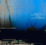 В Карелии разлилось 200 литров нефти  - Gubdaily.Ru