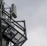 Tele2 прокачала мобильный интернет дачникам Карелии - Петрозаводск говорит