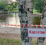 В Карелии собралась Чрезвычайная комиссия по птичьему гриппу - StolicaOnego.Ru