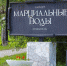 МТС ускорила мобильный интернет на первом российском курорте - StolicaOnego.Ru