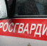 Росгвардейцы Карелии предотвратили семь попыток хищения за прошлую неделю - StolicaOnego.Ru