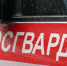 Почти 3,5 сотни выездов по тревоге совершили росгвардейцы Карелии за неделю - StolicaOnego.Ru