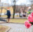 В Петрозаводске состоялся митинг, посвященный 38-ой годовщине со дня аварии на Чернобыльской АЭС - МЧС Республики Карелия