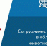 Приглашаем на международную консультацию «Сотрудничество России и Ирана в области птицеводства, животноводства и смежных отраслей: тенденции и перспективы» от АО «Российский экспортный центр». - Центр поддержки экспорта