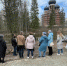 В парке Беличий остров вырубают деревья - Петрозаводск говорит