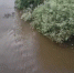 Ребенка затянуло под шлюз в российском городе - Петрозаводск говорит