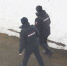 В Петрозаводске катастрофически не хватает участковых полиции - Gubdaily.Ru
