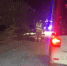 Дерево упало на проезжающую мимо машину на трассе под Петрозаводском - Gubdaily.Ru