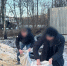 В Петрозаводске осужденные помогли приюту для животных - Gubdaily.Ru