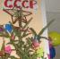 Жители Пряжинского района погрузились в новогодние хлопоты - Петрозаводск говорит
