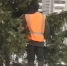 Петрозаводчане пожелали украсить елки на площадях своими игрушками - Петрозаводск говорит