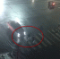 Двух женщин сбили в Петрозаводске - Gubdaily.Ru