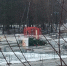 Ветер уронил новогоднюю елку в крупном районе Петрозаводска - StolicaOnego.Ru