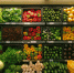 В Карелии изменились цены на продукты, лекарства и услуги - StolicaOnego.Ru