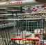 Цены на некоторые продукты снизились в Карелии - Петрозаводск говорит