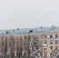 День защитника Отечества - ПетрГу