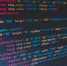 Ветераны СВО освоят IT-профессии в Карелии - StolicaOnego.Ru