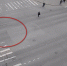 В Петрозаводске велосипедист сбил собаку - Gubdaily.Ru