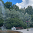 Несколько городов Карелии попали в число неблагоприятных - Gubdaily.Ru