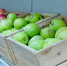 Есть четыре продукта, снижающие тягу к сладкому - Gubdaily.Ru