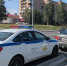 МВД: непригодных по здоровью водителей невозможно отследить - Gubdaily.Ru