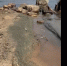 нечто на берегу - Петрозаводск говорит