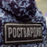 За неделю карельские росгвардейцы более 300 раз выезжали по сигналу «тревога» - Росгвардия