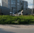 Маленького велосипедиста сбил неизвестный в Петрозаводске - StolicaOnego.Ru