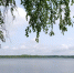 Озеро Крошнозеро - Петрозаводск говорит