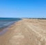 В Роспотребнадзоре рассказали, где на Черном море чистая вода и пляжи - StolicaOnego.Ru