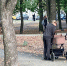 Жители Карелии сэкономили 16 миллионов рублей на колясках - Gubdaily.Ru