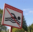табличка купание запрещено - Петрозаводск говорит
