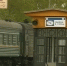 поезд - Петрозаводск говорит