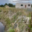 В Карелии борются за берег реки: из-за стройки пропала вода - Gubdaily.Ru