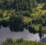 лес - Петрозаводск говорит