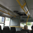 автобус - Петрозаводск говорит