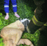 Сын погиб на глазах у отца (18+) - Gubdaily.Ru