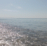 Черное море - Петрозаводск говорит