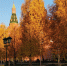 Карелия расширяет сотрудничество с Москвой - ГТРК Карелия