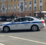 Мужчину лишили прав за наезд на кота - Gubdaily.Ru
